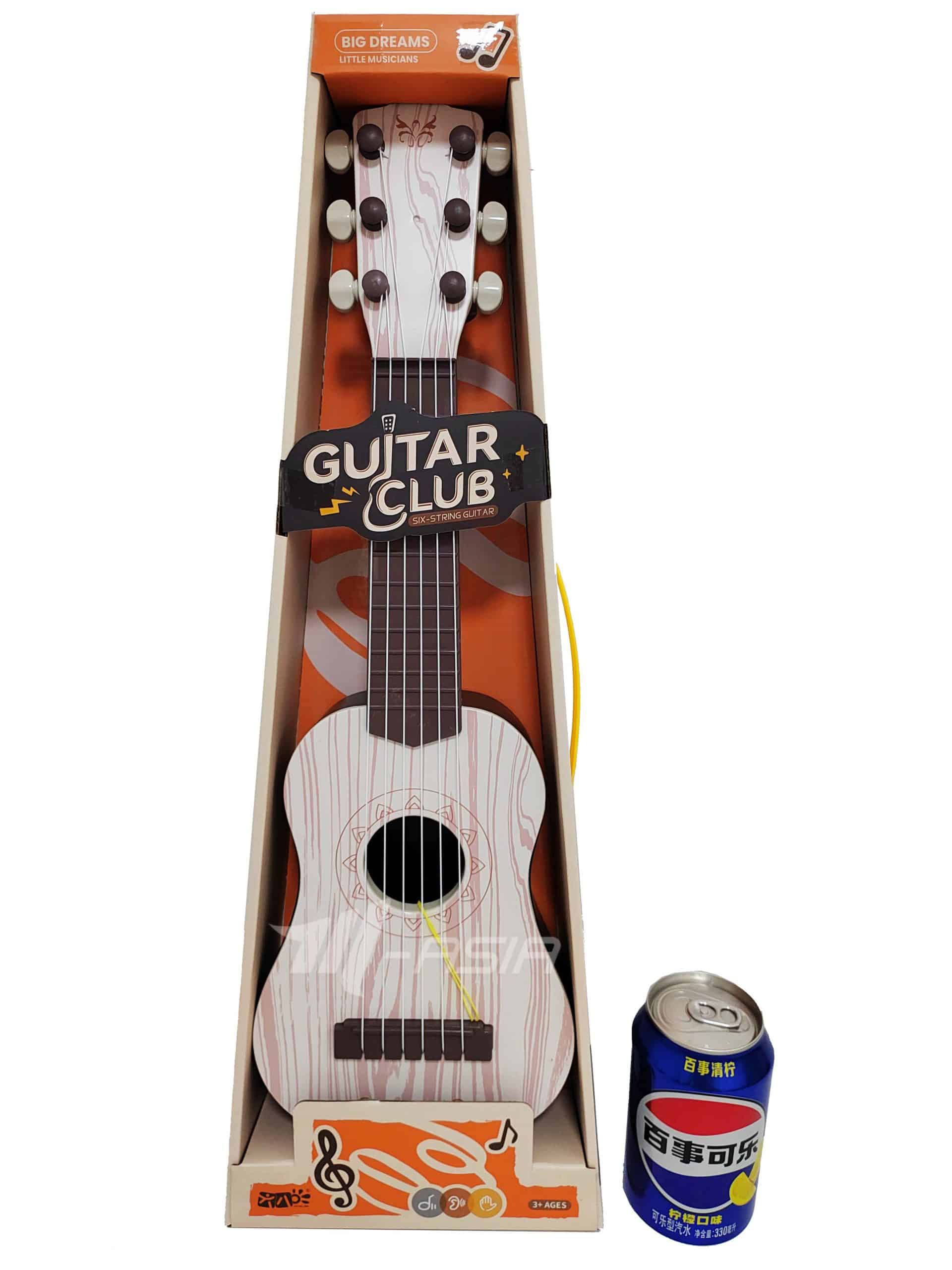 Guitar
